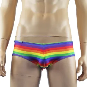 Gay Pride Rainbow Mens Mini Low Rise Boxer Shorts