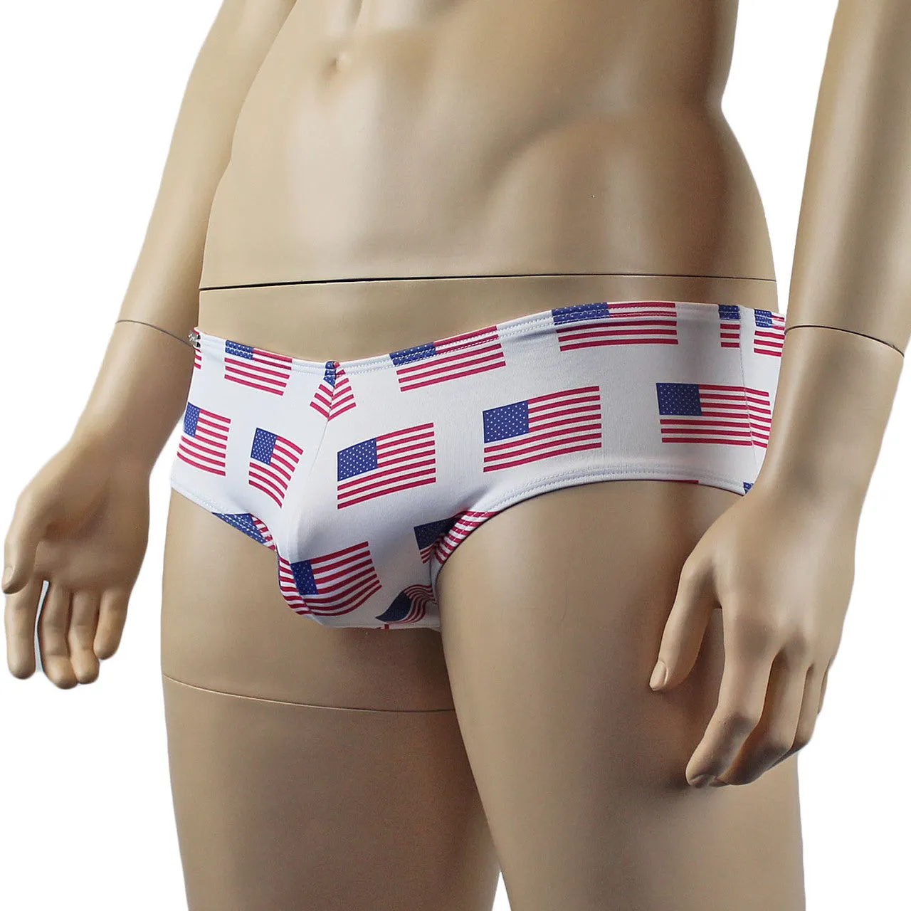 Mens USA American Flag Mini Boxer Briefs