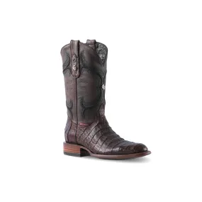 Texas Country Exotic Boot Caiman Belly Cola Tabaco LM81